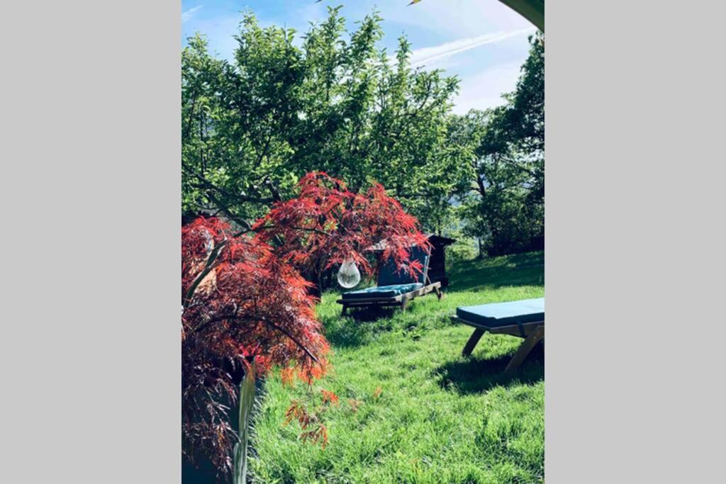 2P Au Coeur Des Montagnes Avec Piscine Chauffee Apartamento Puget-Théniers Exterior foto