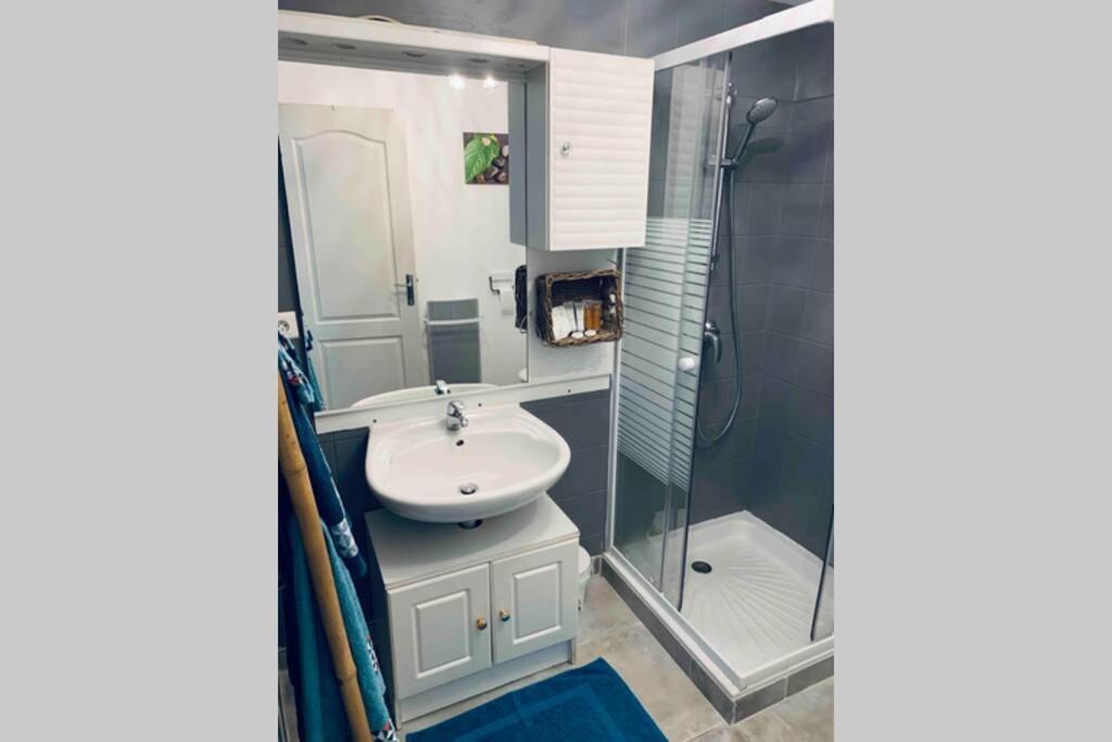 2P Au Coeur Des Montagnes Avec Piscine Chauffee Apartamento Puget-Théniers Exterior foto