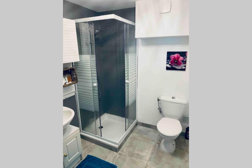 2P Au Coeur Des Montagnes Avec Piscine Chauffee Apartamento Puget-Théniers Exterior foto